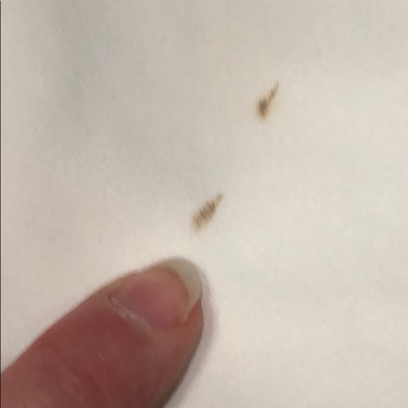 [34]Izod Salt Water shorts - Picture 7 of 7